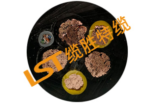 網(wǎng)線復合卷筒電纜 網(wǎng)線復合卷筒電纜