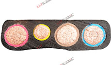 斗輪機(jī)扁電纜 斗輪機(jī)扁電纜