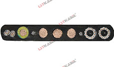 行車電纜(帶鋼絲) 行車電纜(帶鋼絲)